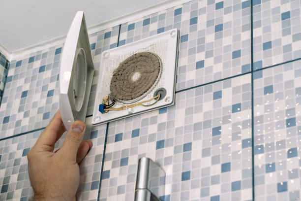Best Affordable HVAC Duct Cleaning  in Bement, IL