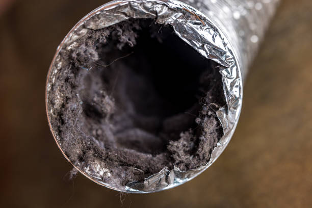 Best HVAC System Cleaning  in Bement, IL
